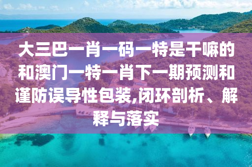 大三巴一肖一碼一特是干嘛的和澳門一特一肖下一期預(yù)測和謹防誤導(dǎo)性包裝,閉環(huán)剖析、解釋與落實