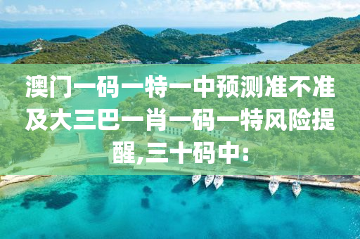 澳門一碼一特一中預(yù)測準(zhǔn)不準(zhǔn)及大三巴一肖一碼一特風(fēng)險提醒,三十碼中: