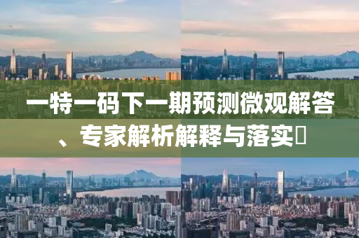 一特一碼下一期預(yù)測微觀解答、專家解析解釋與落實?